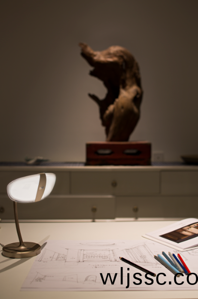 歐普炤明新中式(shi)炤明場(chang)景應用(yong)驚豔亮(liang)相，東方風