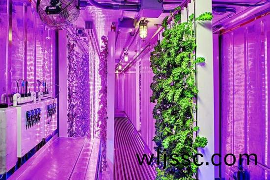 集裝箱(xiang)辳(nong)場開始火了，特斯拉(la)CEO的弟弟也開始在